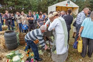 Bruki Unisławskie - Święto Kapusty