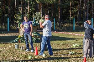 Bruki Unisławskie - Święto Kapusty