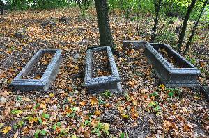 Wielka Nieszawka - cmentarz mennonicki