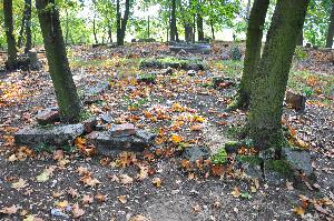 Wielka Nieszawka - cmentarz mennonicki