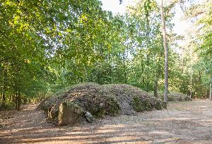 Wietrzychowice - park kulturowy