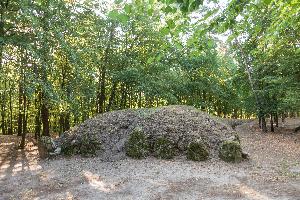 Wietrzychowice - park kulturowy