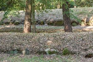 Wietrzychowice - park kulturowy