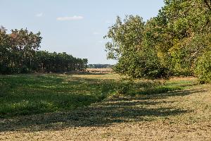 Wietrzychowice - park kulturowy