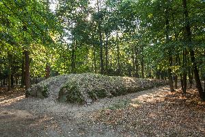 Wietrzychowice - park kulturowy