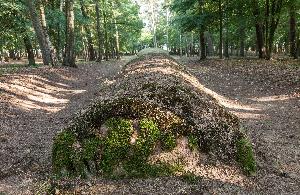 Wietrzychowice - park kulturowy