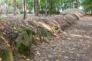 Wietrzychowice - park kulturowy