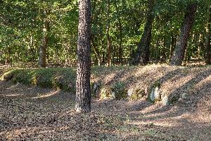 Wietrzychowice - park kulturowy