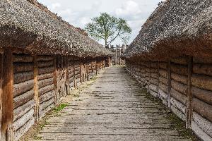 Biskupin - osada łużycka