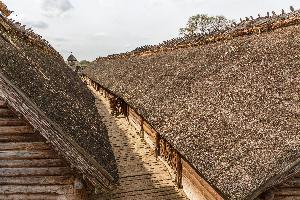 Biskupin - osada łużycka